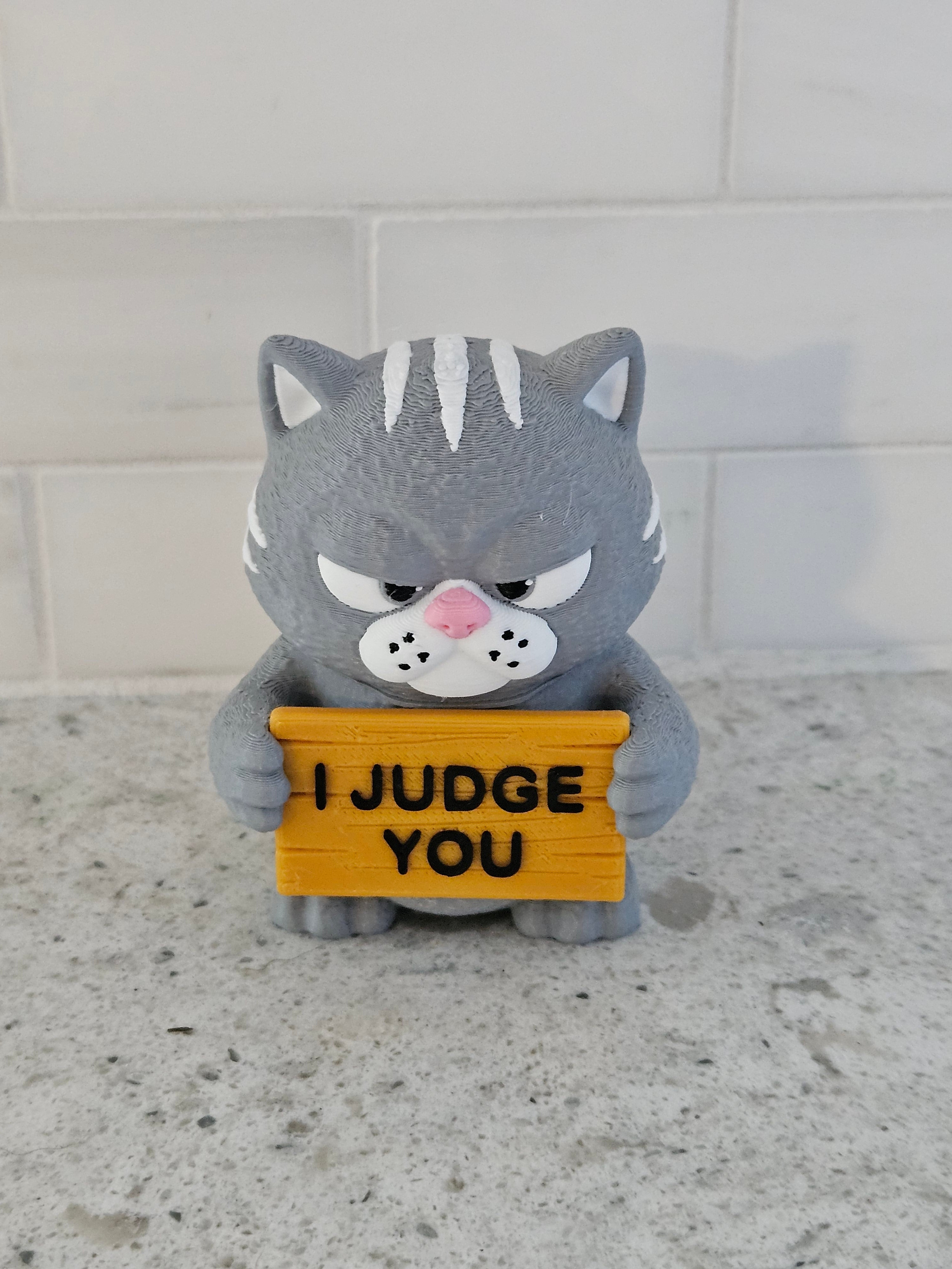 Angry Cat
