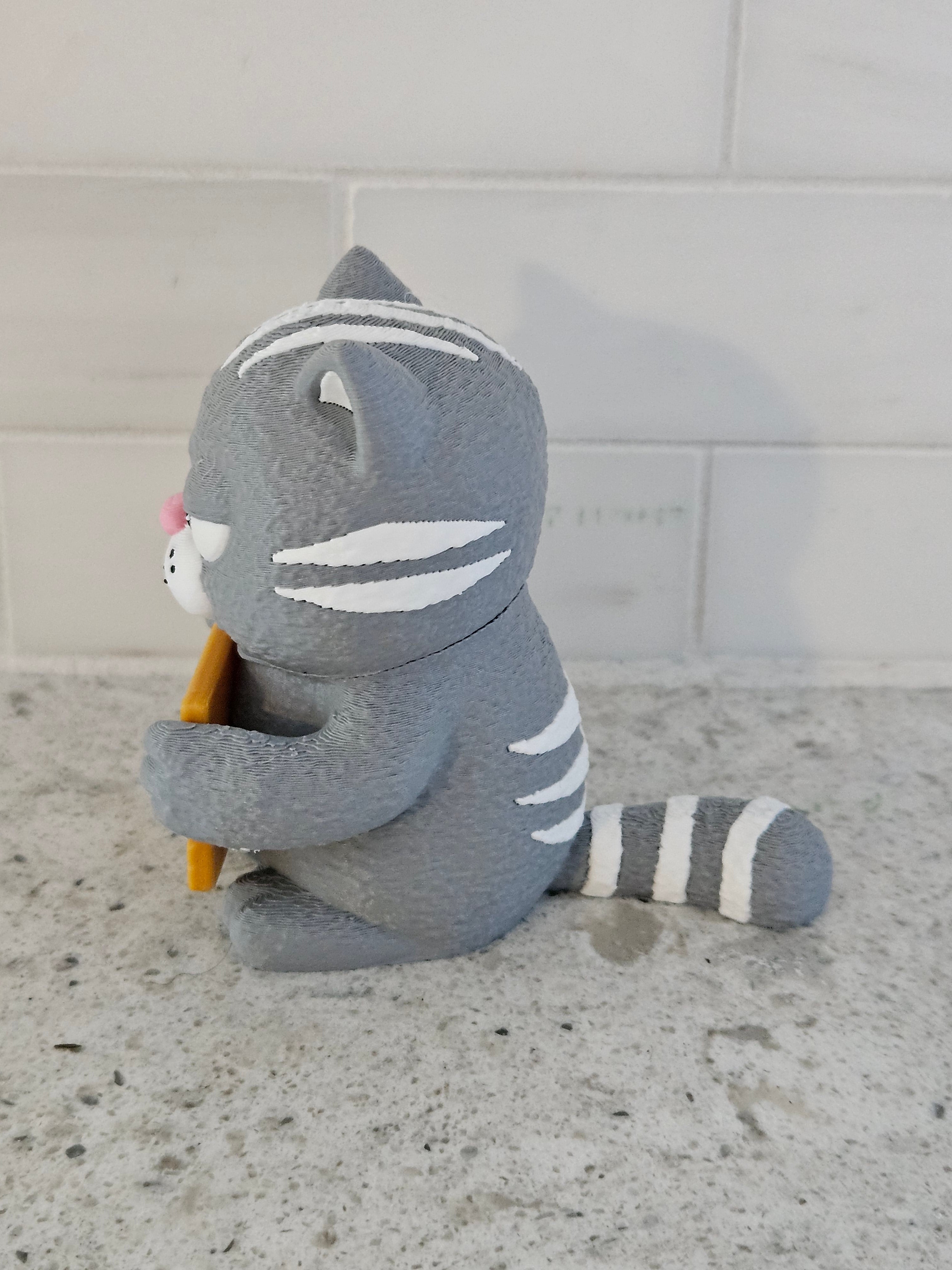 Angry Cat