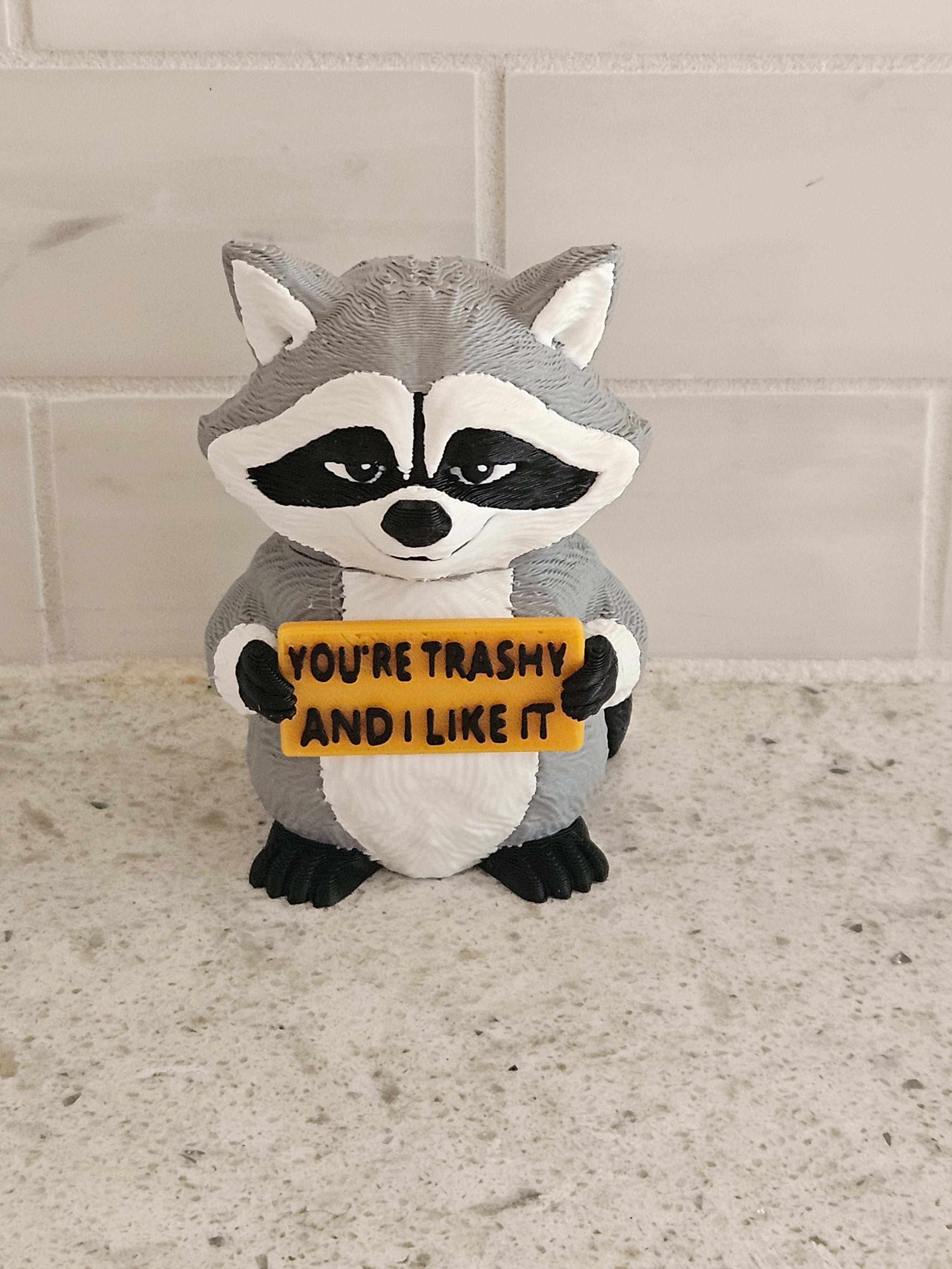 Angry Raccoon