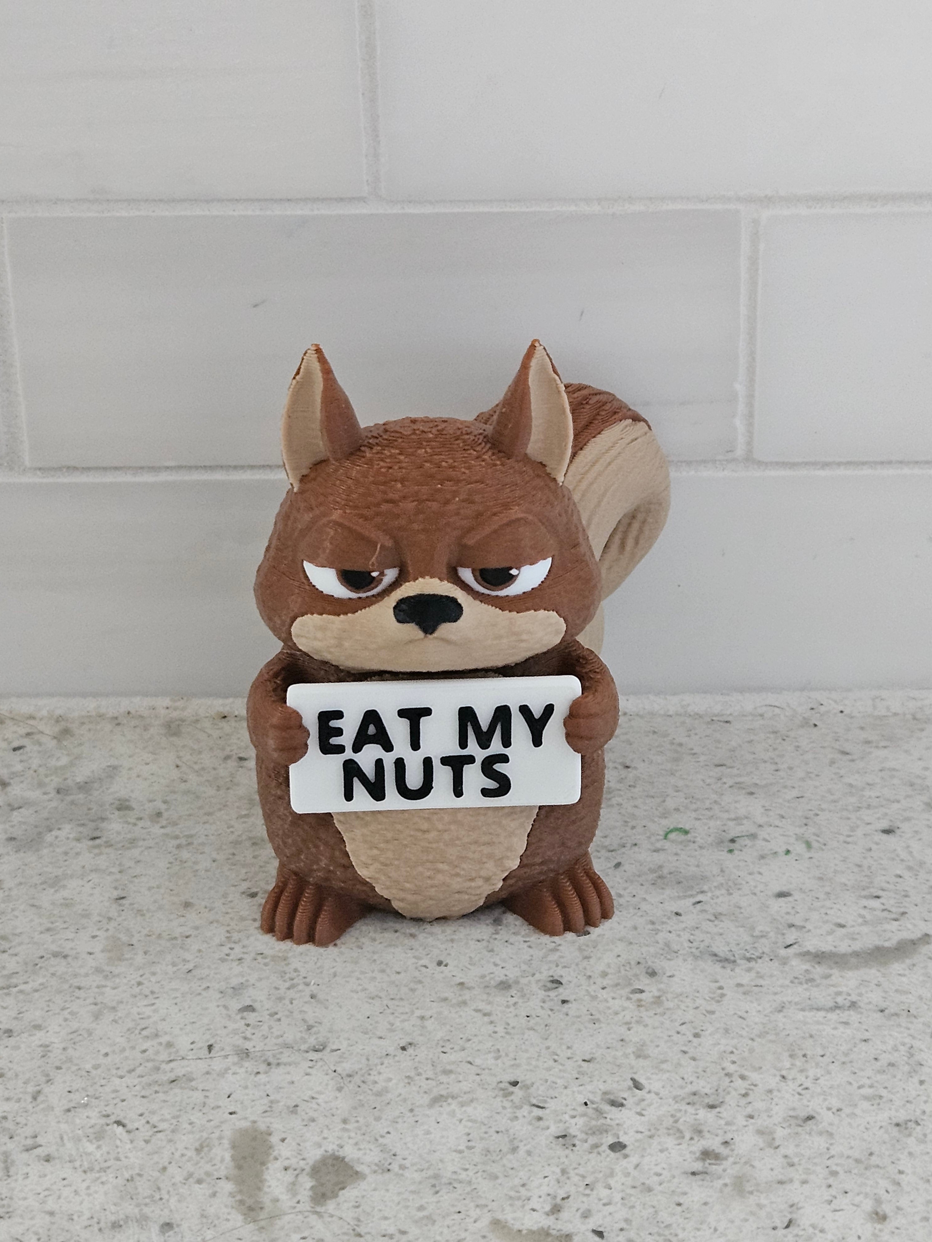 Angry Squirrel